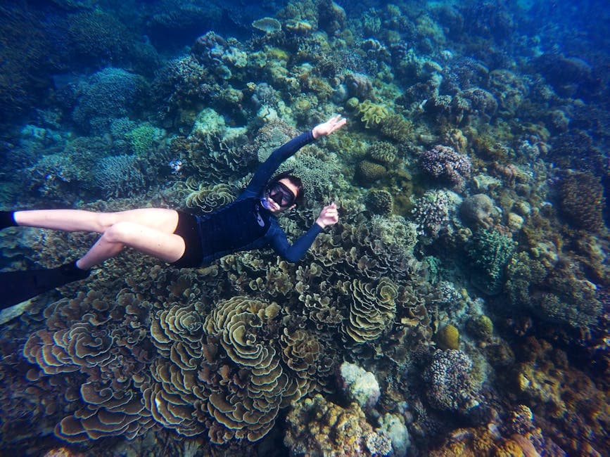 Best Snorkeling Spots in West Maui (2026 Updated Guide)